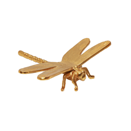 Exquisite Dragonfly Wall Accent
